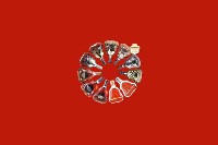 中原回收红酒